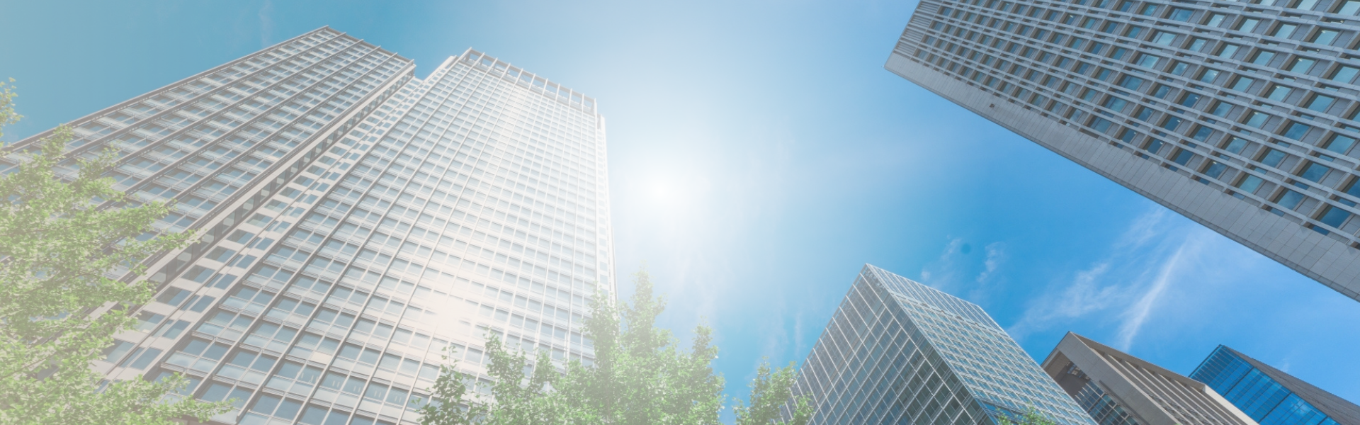 本気で挑む企業の、
ITの応援団でありたい。